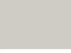 Décor Gris clair U708 ST9